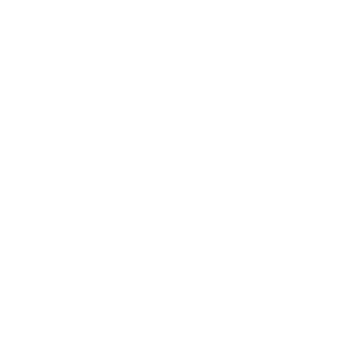 Audit-Ready Governance